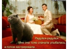 Ветеринарная помощь